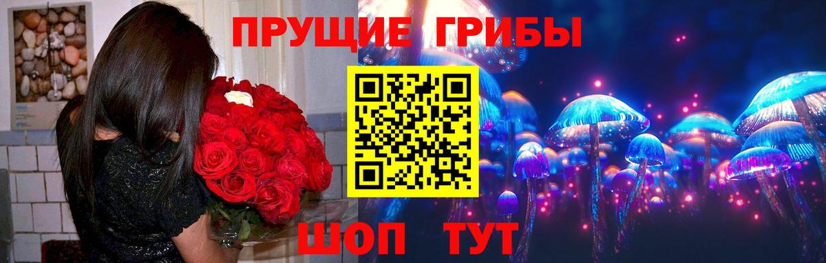 Галлюциногенные грибы Psilocybe Камень-на-Оби